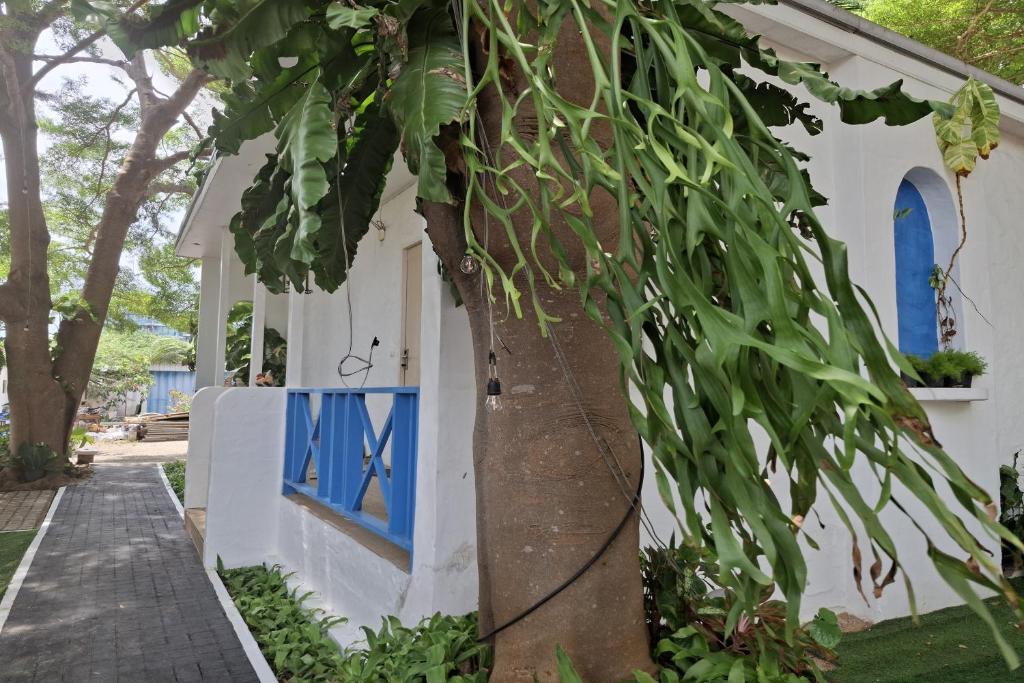 Deva Casa Private Pool Villa - Resim 21