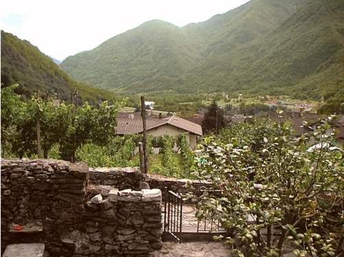 Blick auf ein Haus in einem Tal mit Bergen in der Unterkunft Casa Giulia in Maggia