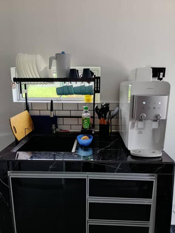 Kuchyň nebo kuchyňský kout v ubytování IRDINA GUESTHOUSE