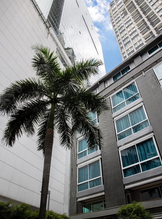 a palm tree in front of a tall building at Nantra Sukhumvit 39 in Bangkok