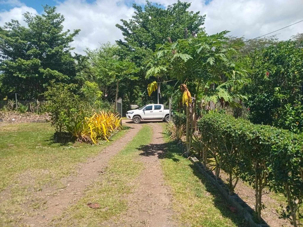 Fotografie z fotogalerie ubytování Julas Guesthouse v destinaci Siusega