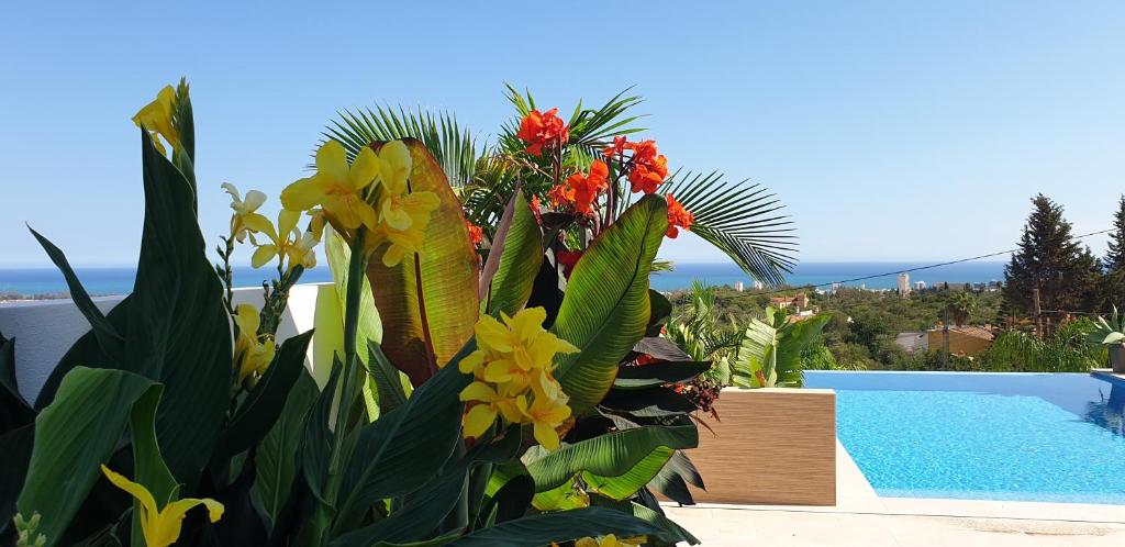 Happyplace Malaga - Villa with Panoramic Sea View Heated Infinity Saltwater Pool photo photo 4