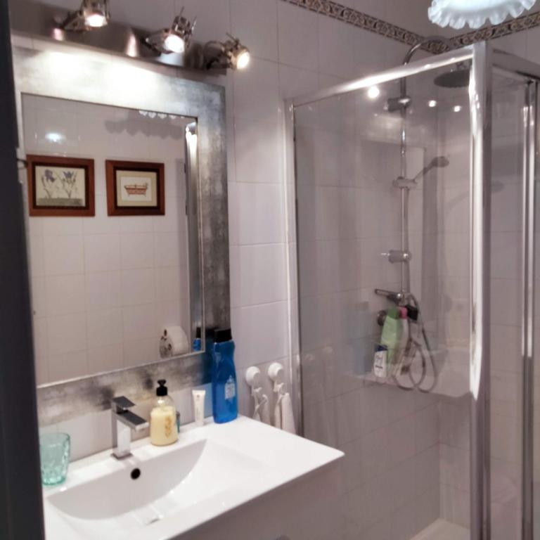 A bathroom at Apartamento Santa Cruz
