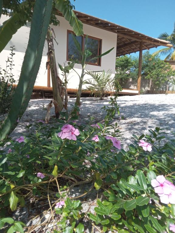 una casa con dei fiori davanti di Chalés na Vila Natholi a Imbassai