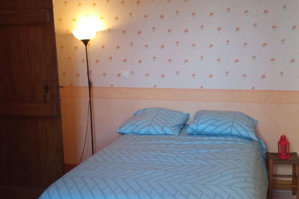 a bedroom with a bed with blue sheets and a lamp at La maison paisible au village in Channay-sur-Lathan
