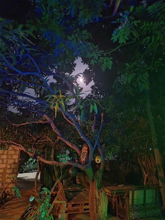 Akki's Hostel - Housity