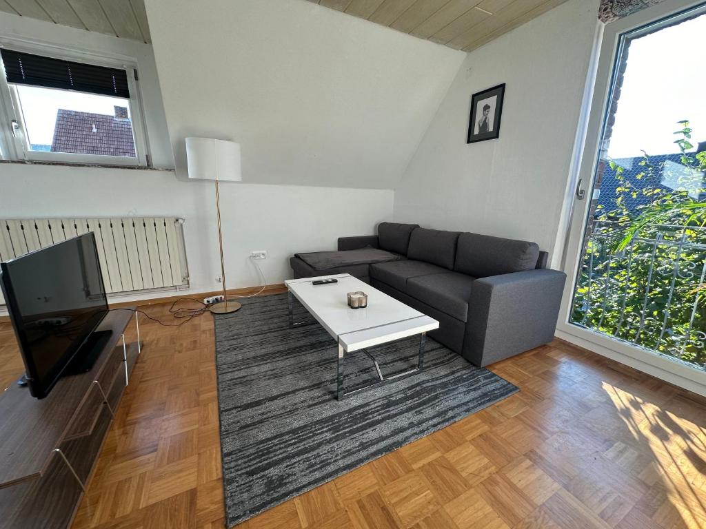 TV a/nebo společenská místnost v ubytování Haddenhausen Apartment