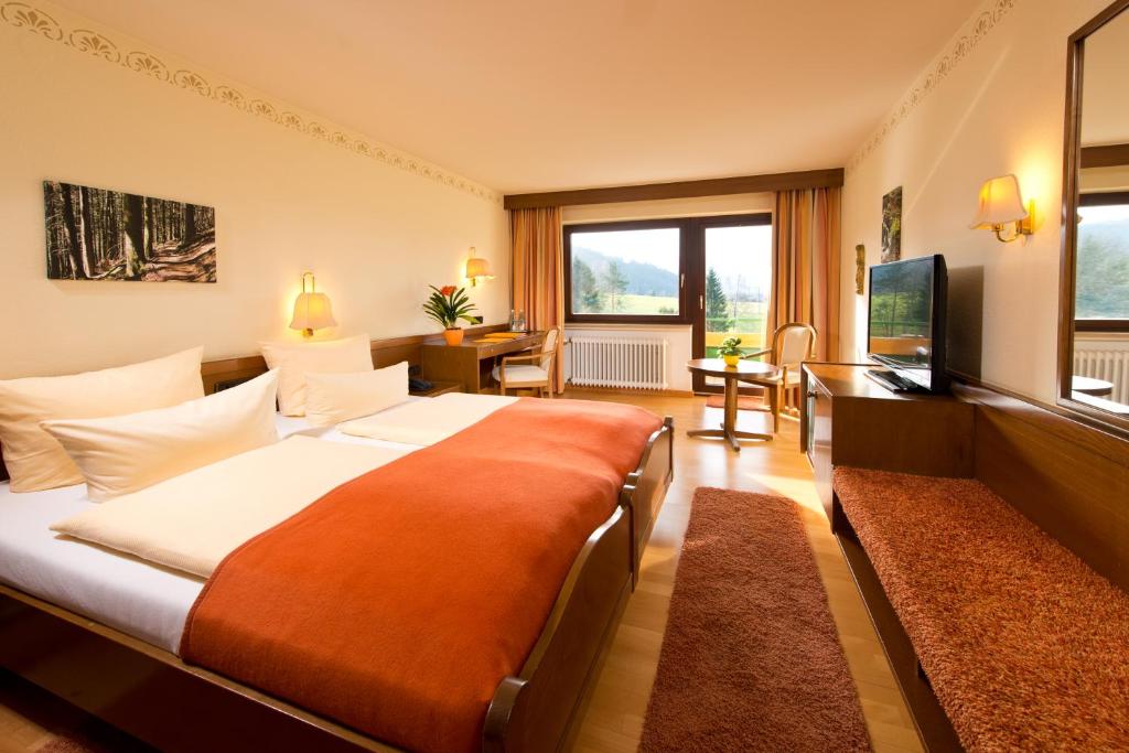 Silberkönig Schwarzwald Hotel & Restaurant Ringhotel - Habitación Individual Confort