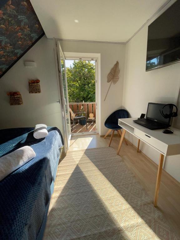 SEX AGENCY Ingolstadt