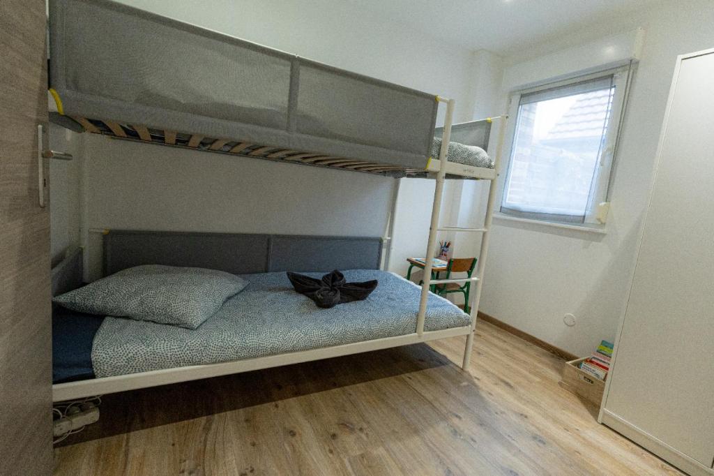 Appartement cosy et lumineux à Kaysersberg – photo 13