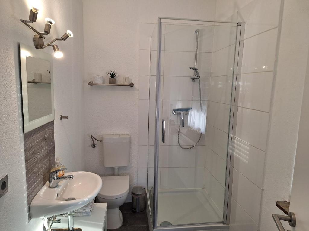 a bathroom with a shower and a toilet and a sink at 30qm Monteuroase in Melsungen-Schwarzenberg MwSt ausweisbar in Melsungen