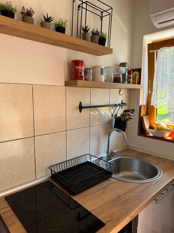 Kuhinja ili čajna kuhinja u objektu Povratak prirodi