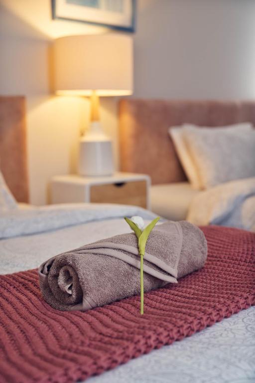 Alpaca Manor Auckland - Resim 14