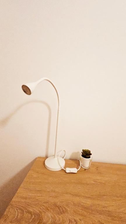 Rooms4you 1 in historic center of Braga - 10