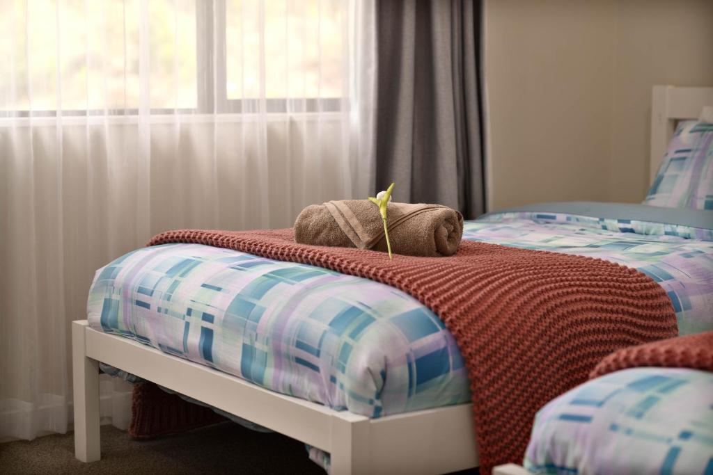 Alpaca Manor Auckland - Resim 40