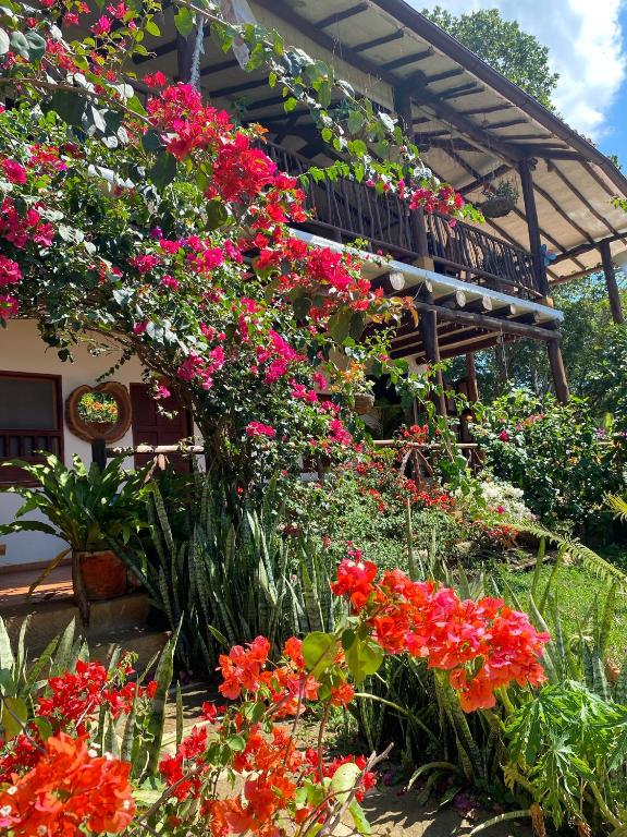 Zahrada ubytování Hostal Villa San Rafael