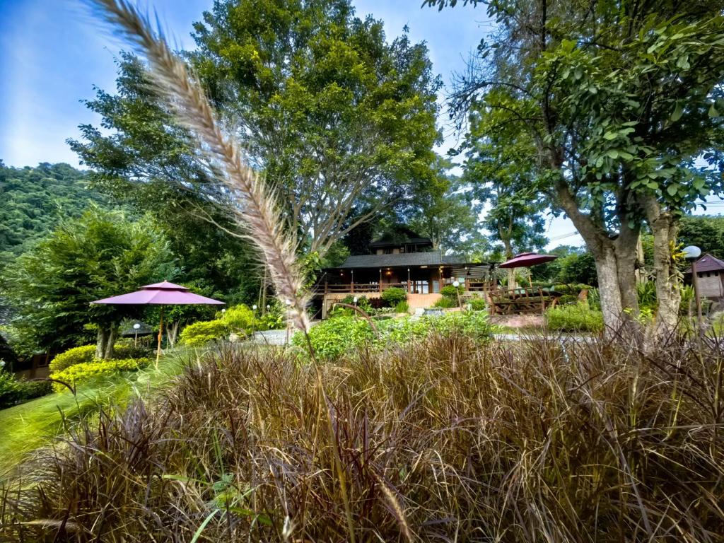 Insda Wellness Resort