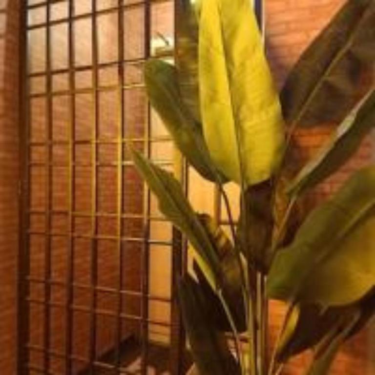 Fotografie z fotogalerie ubytování Sabai Sabai Guesthouse in Bayan Lepas v destinaci Bayan Lepas