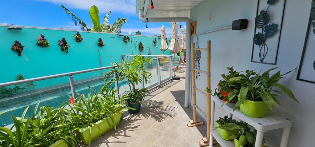 Tiare Pool Lodge - photo 7 - Tahiti, Polynésie