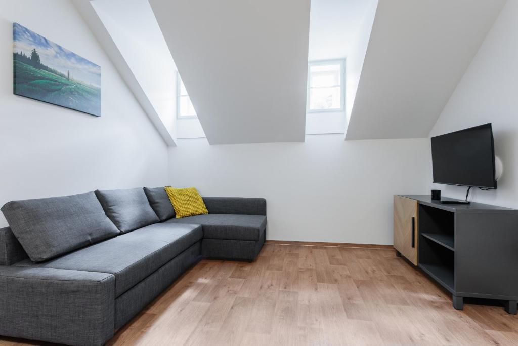 TV a/nebo společenská místnost v ubytování Apartmány Stříbrná Liška