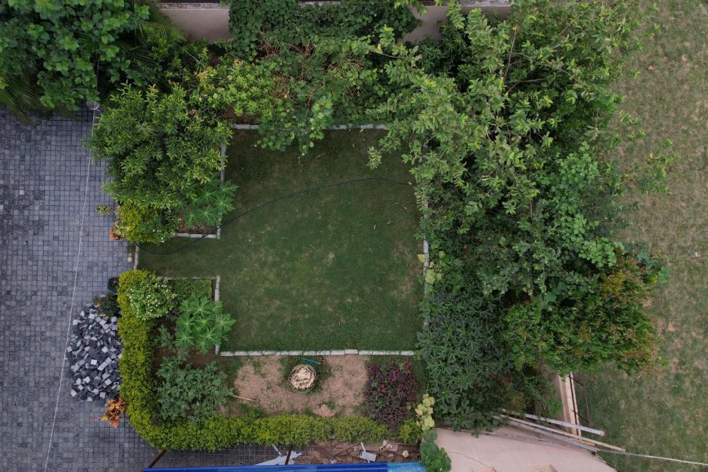 Jardí fora de Hotel palash