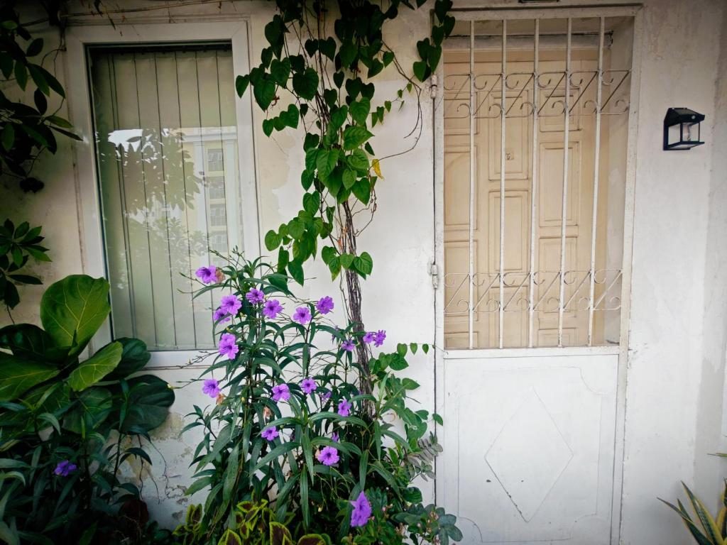 una puerta de entrada de una casa con flores púrpuras en Cuc Cu Nest, en Hanói