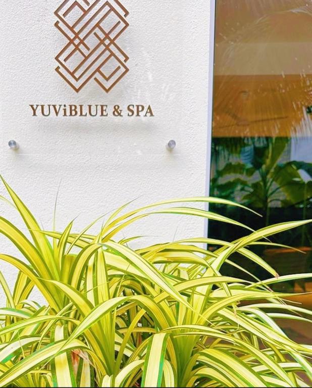 YUVi Blue Guesthouse at Himmafushi - View 16