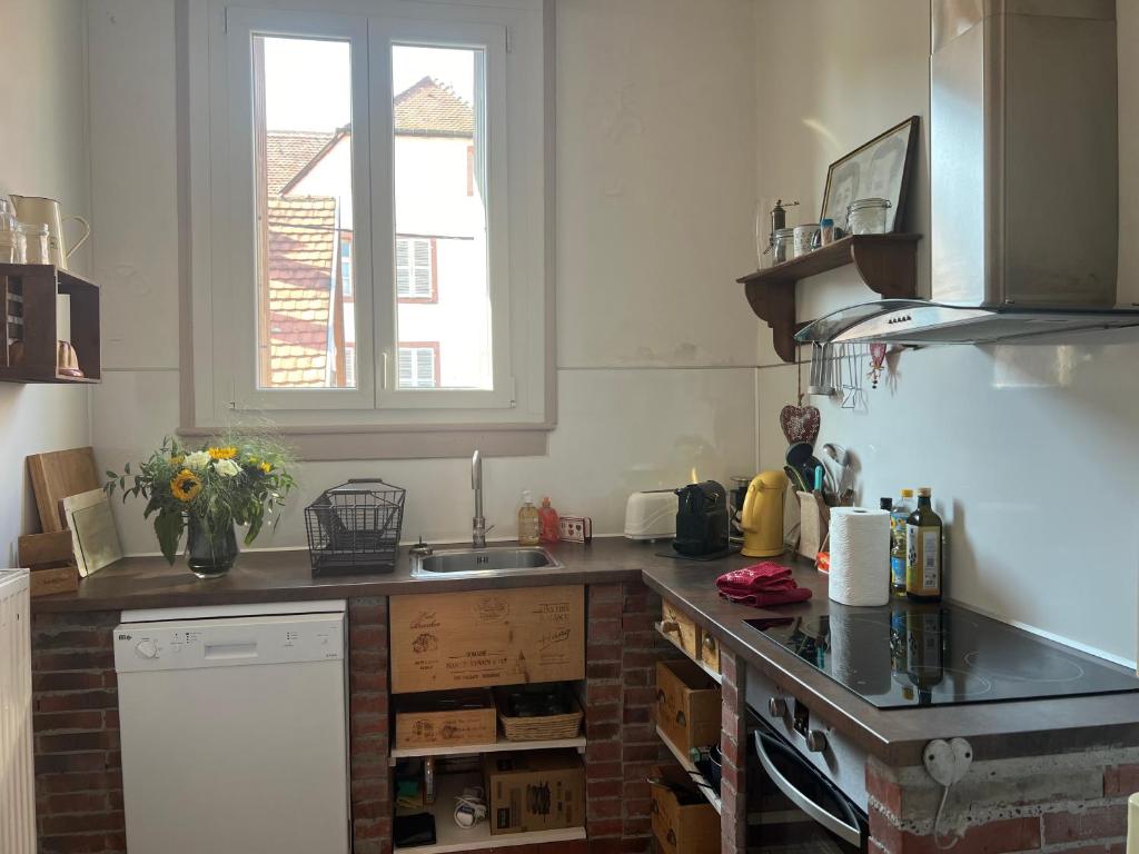 GITE AU COEUR DU VIGNOBLE ALSACIEN – photo 11
