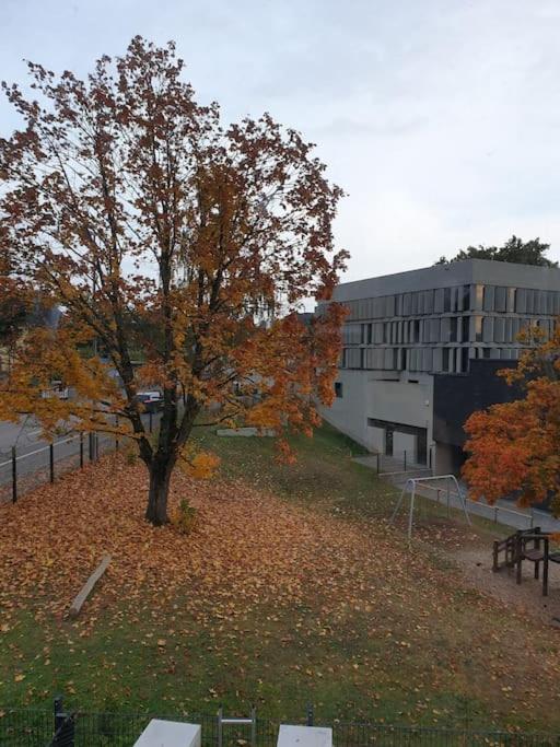 a tree in front of a building with leaves on the ground at Schöne Eigentumswohnung Saarlouis in Saarlouis