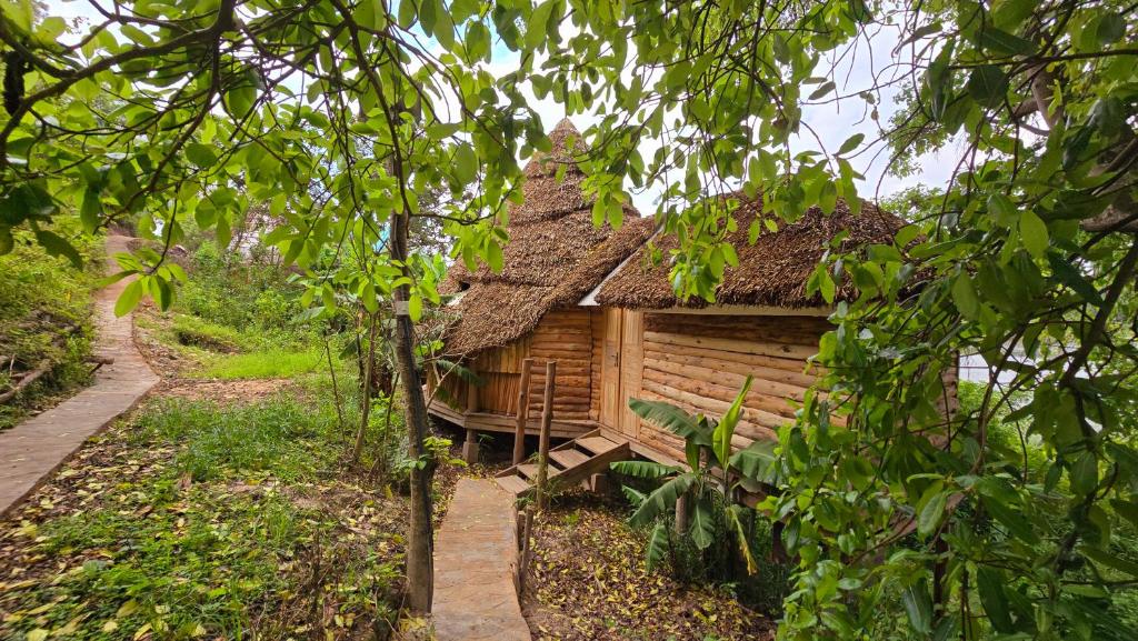 Zahrada ubytování Paradise Eco-Hub