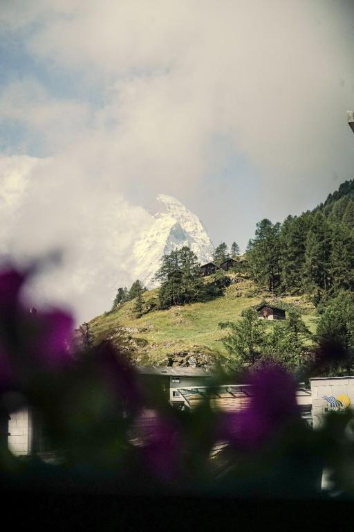 Villa Taugwalder I Wohnung Matterhorn