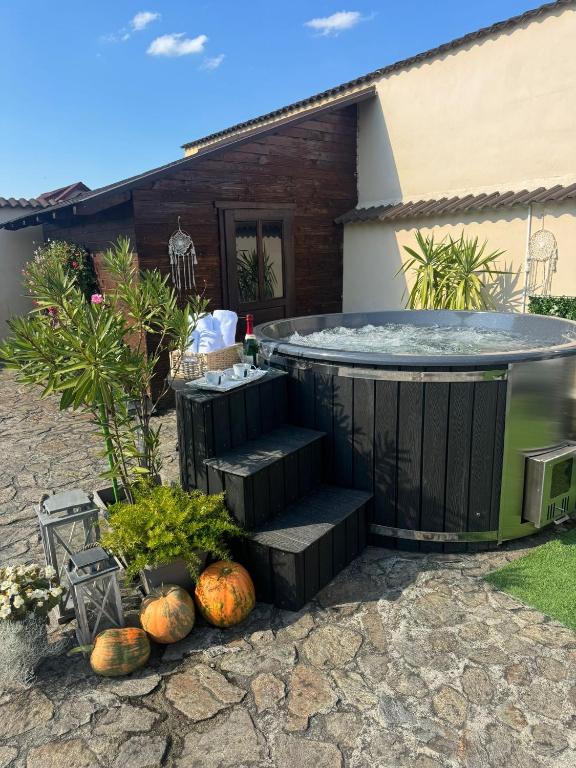 a hot tub in the backyard of a house at Casa Antonia Homestay in Şura Mică