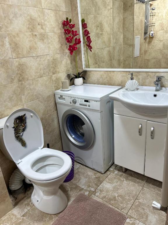 Apartament in chirie Moldova or.Soroca - Appartement Met één Slaapkamer