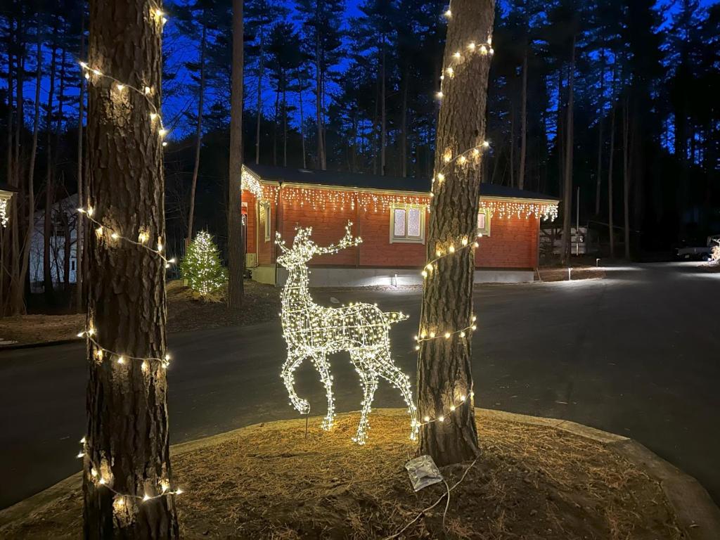 Fotografie z fotogalerie ubytování Forrest Kitakaruizawa v destinaci Cumagoi