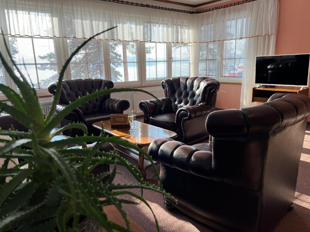 salon z 2 krzesłami, stołem i telewizorem w obiekcie Resort Maják w mieście Horní Soběšovice