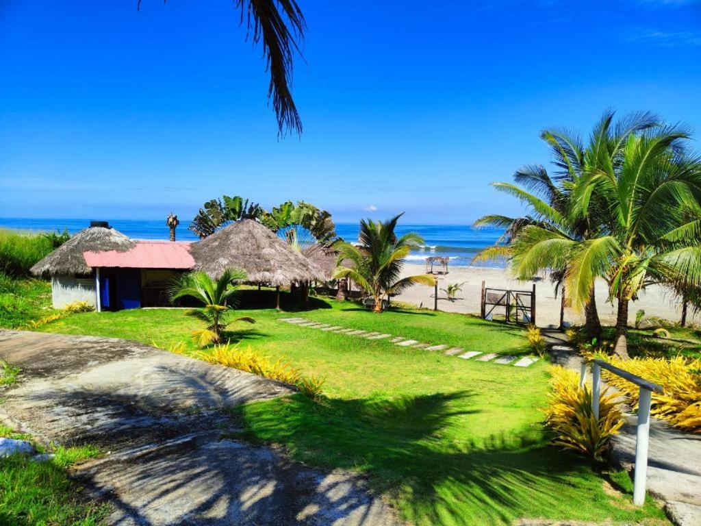 Příroda nedaleko hotelu