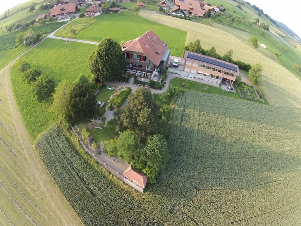 Příroda nedaleko hotelu
