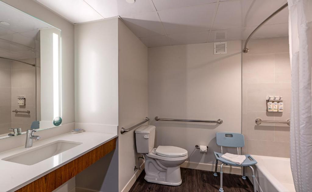 Holiday Inn New Orleans-Downtown Superdome, an IHG Hotel - Standard King Room With Mobility Accessible Tub