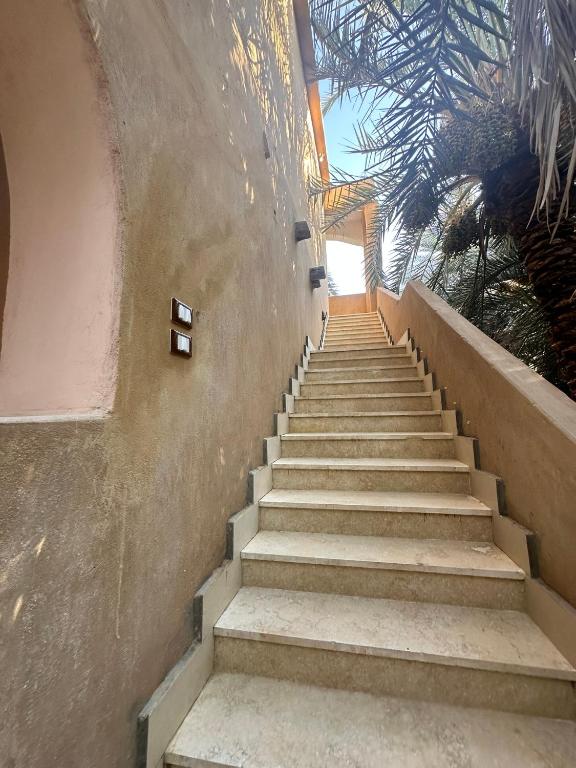 Fotografie z fotogalerie ubytování Nour El Waha Hotel v destinaci Siwa
