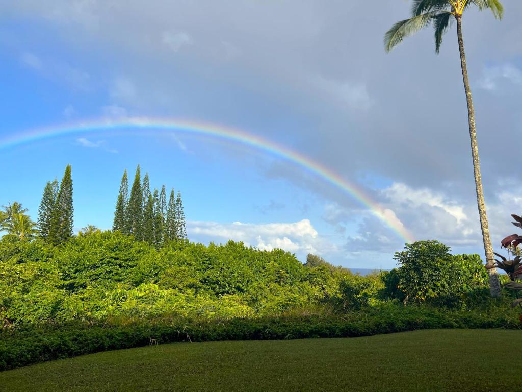 Alii Kai II 11B