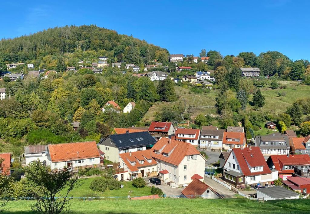 a town on a hill with houses and trees at Ferienwohnung GARTENBLICK im HAUS GERLACH in Walkenried