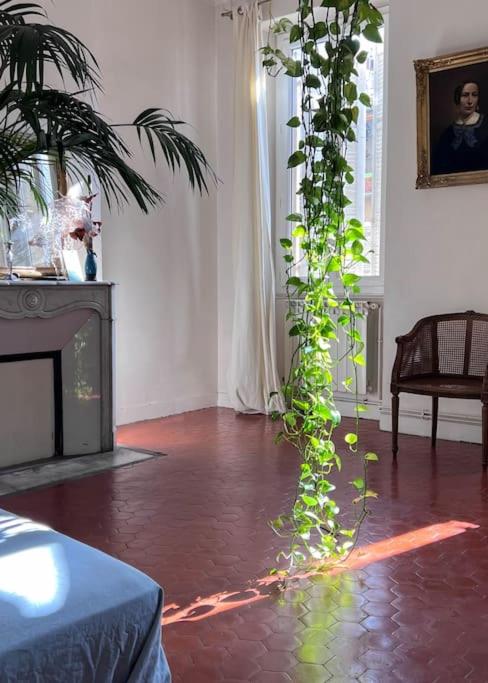 un salon avec une plante cultivée sur le sol dans l'établissement Grand appartement lumineux, à Marseille