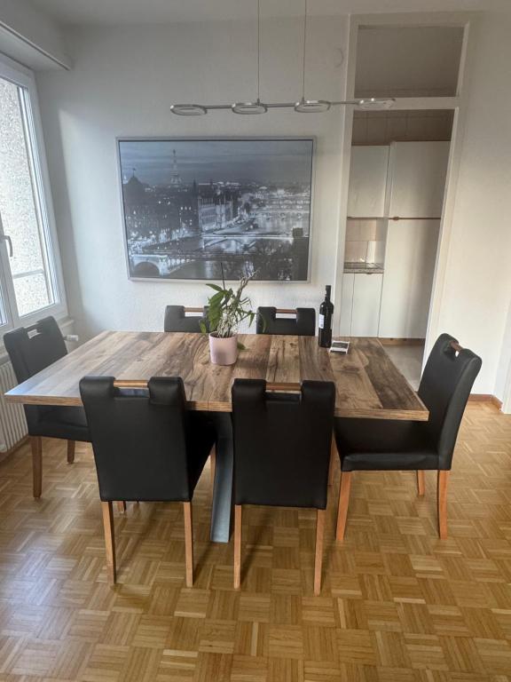 Genève magnifique appartemens aux Eaux vives - Resim 1