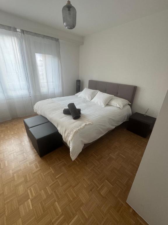 Genève magnifique appartemens aux Eaux vives - Resim 2