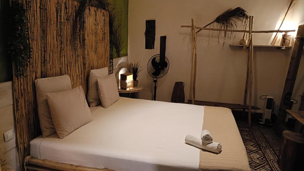 Cactus Host - Suite