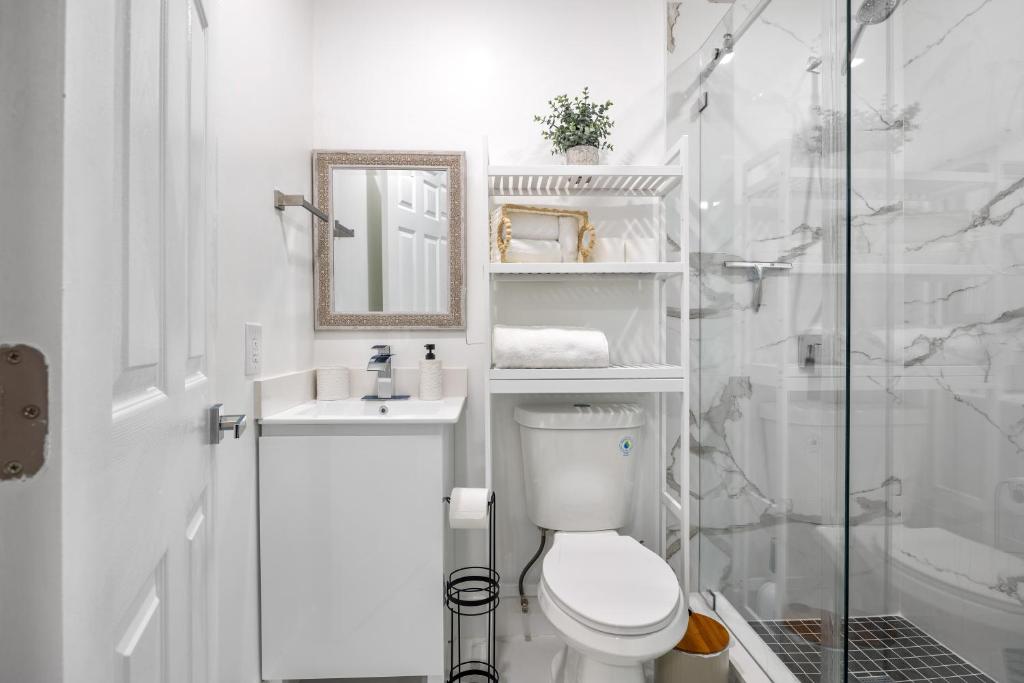 Nice,Stylish King Bed Studio photo