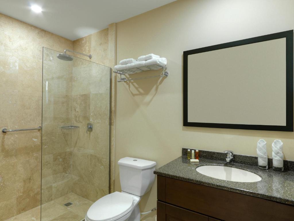 a bathroom with a shower and a toilet and a sink at Coconut Court Beach Hotel in Bridgetown