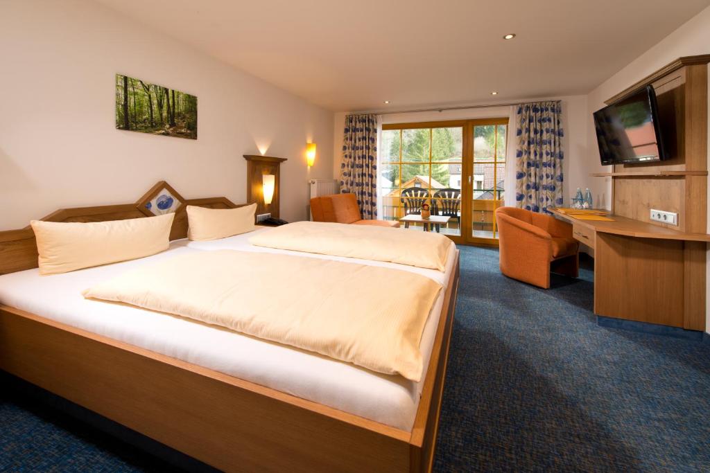 Silberkönig Schwarzwald Hotel & Restaurant Ringhotel - Habitación Doble Estándar Plus