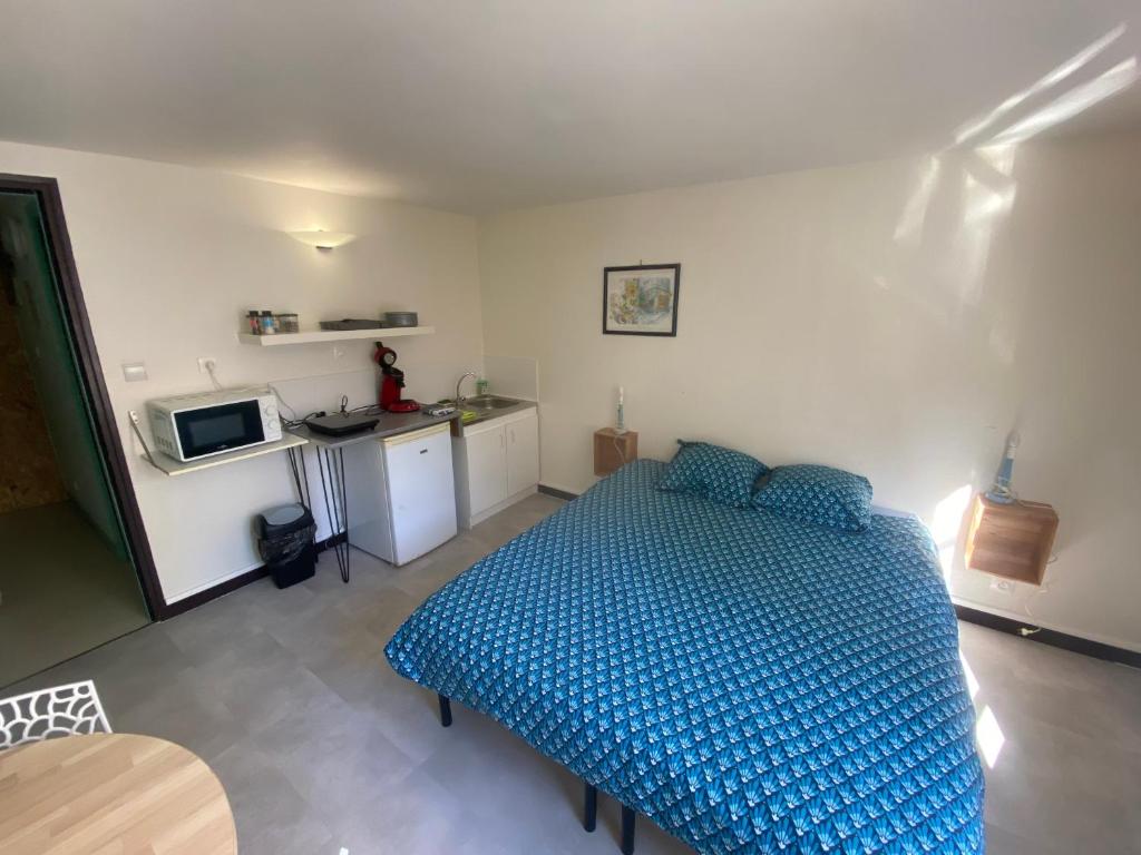 Η κουζίνα ή μικρή κουζίνα στο les moulins - studio 7