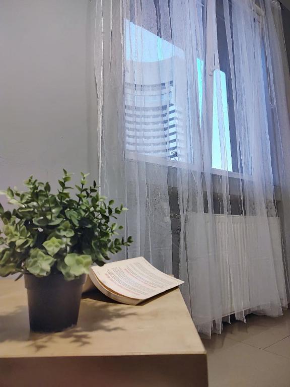 Fotografie z fotogalerie ubytování Old town Bucharest- Shared Apartment v Bukurešti